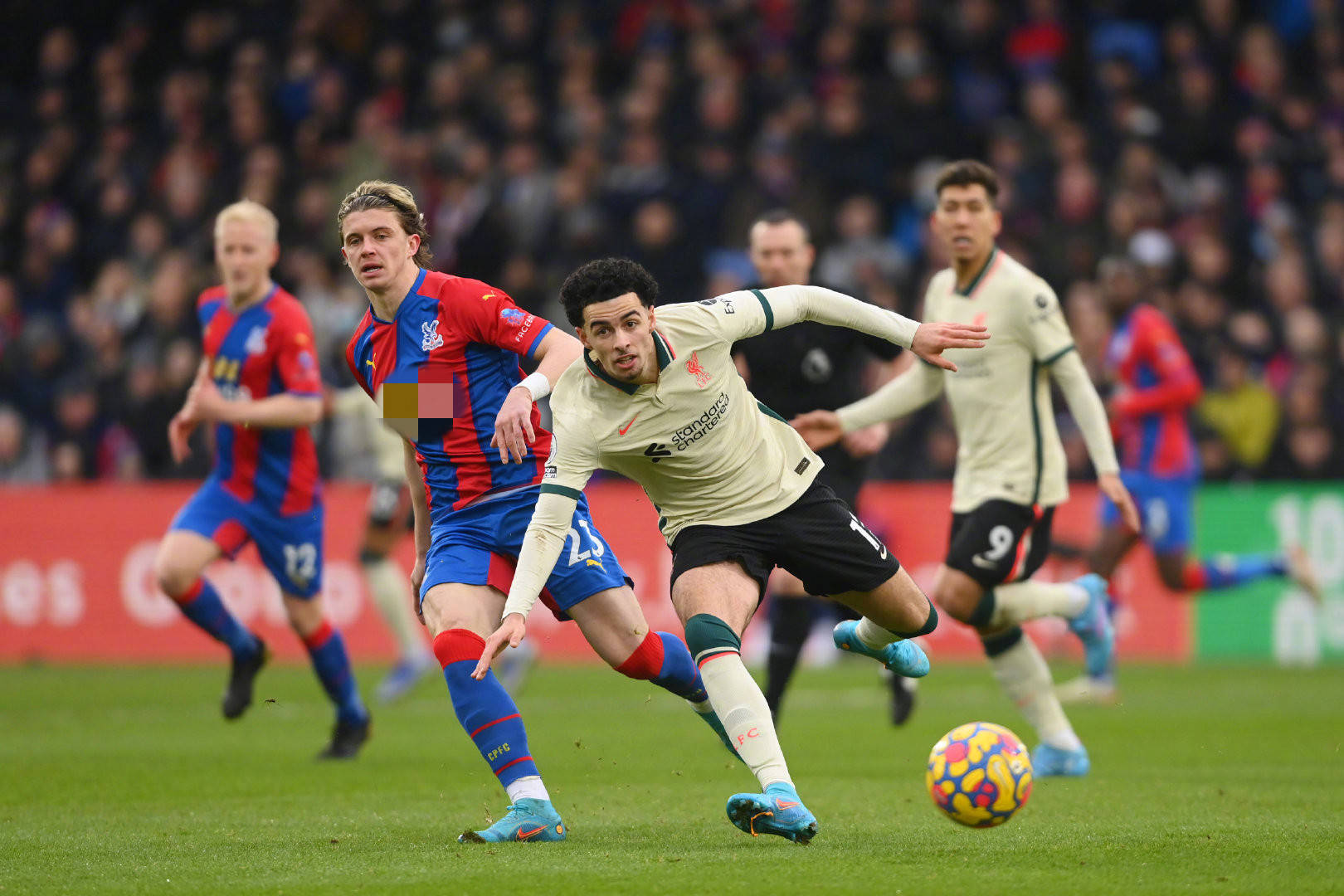 进一步发挥 进一步发挥