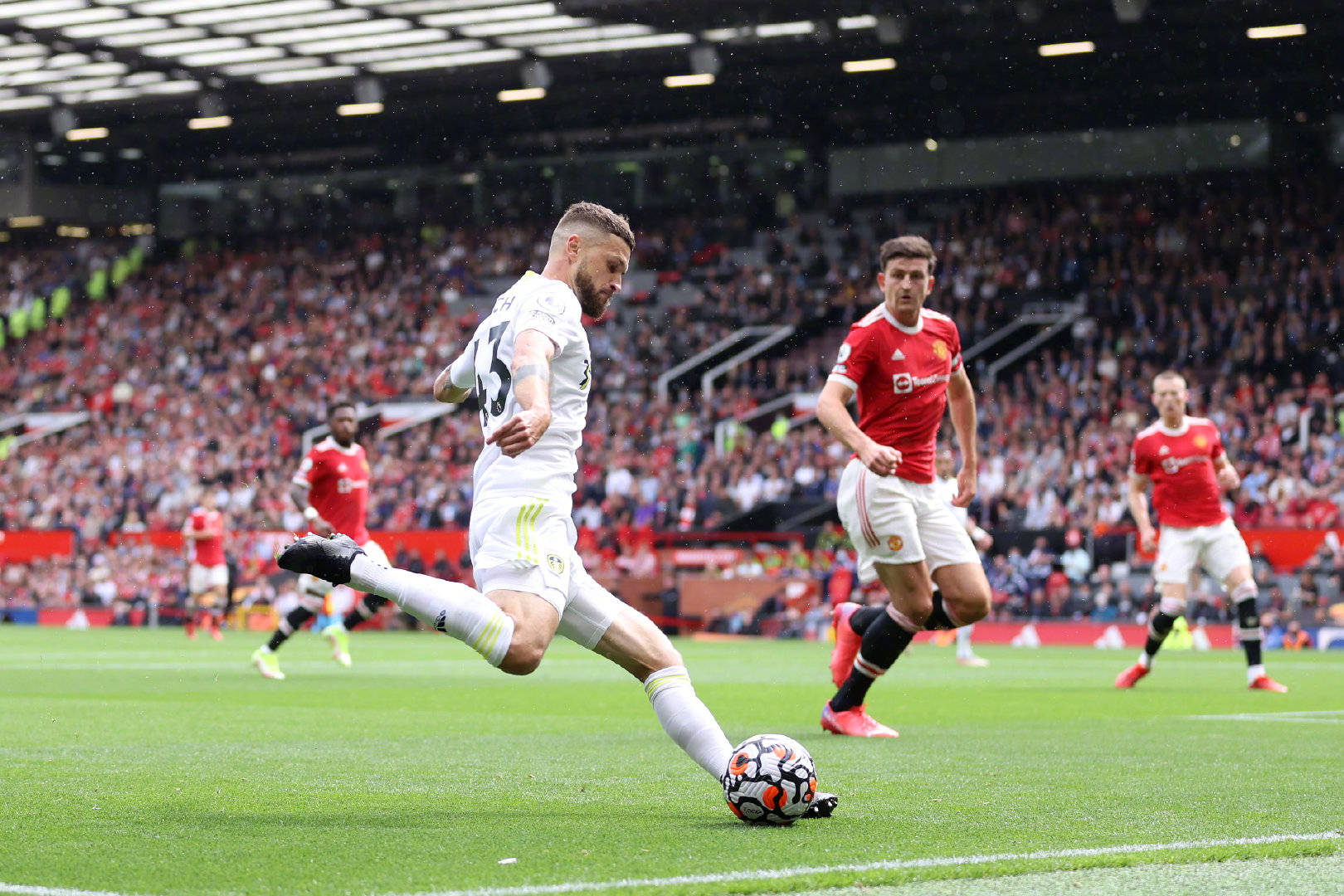 普认为除了 普认为除了